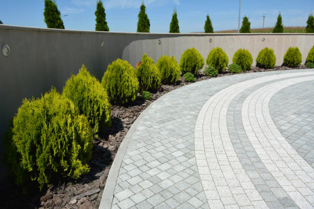 Best Concrete Paver Driveway  in Laughlin, NV